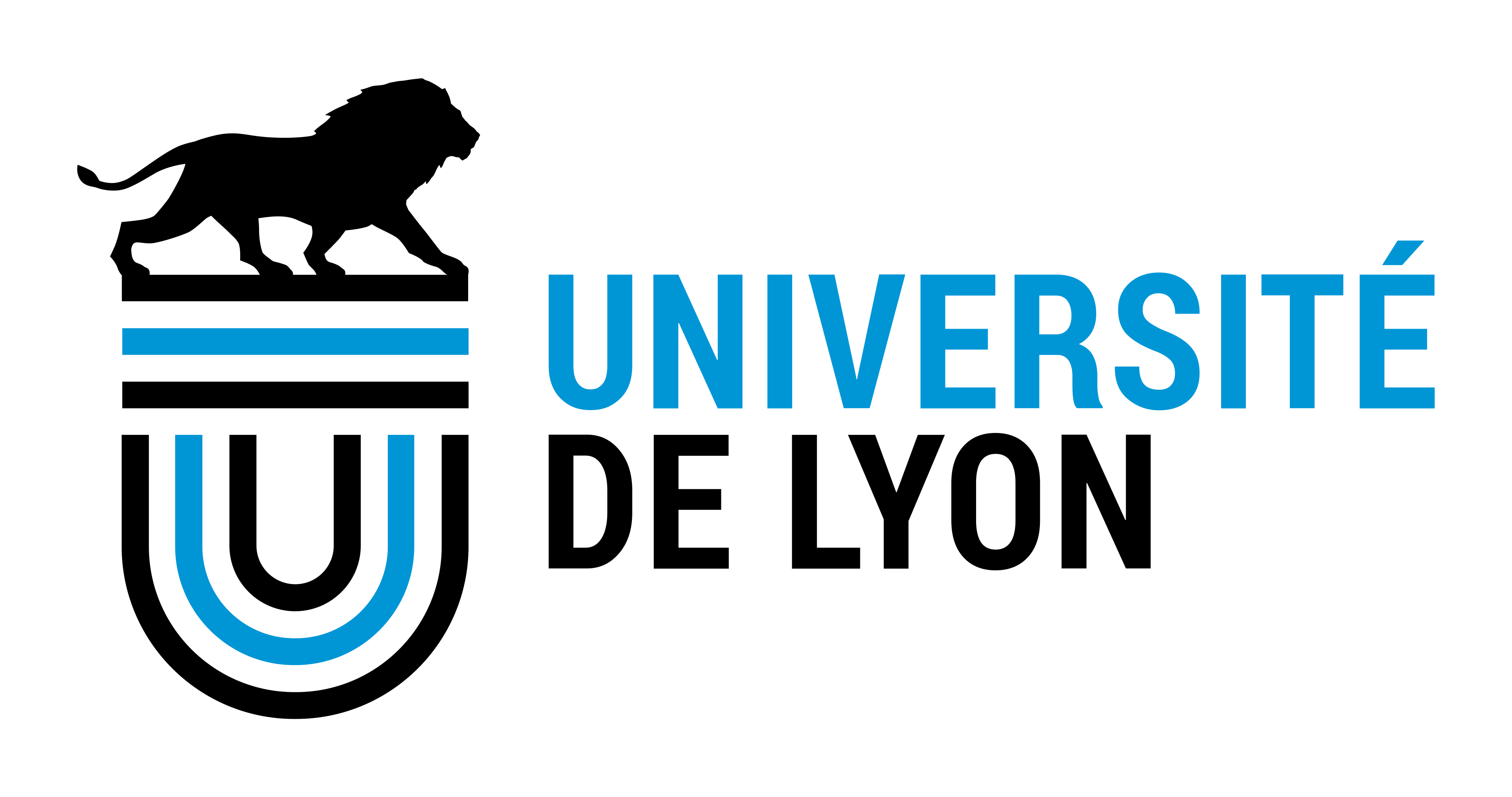 University of Lyon